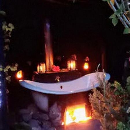 Warm Earth Cottages Aongatete 외부 사진