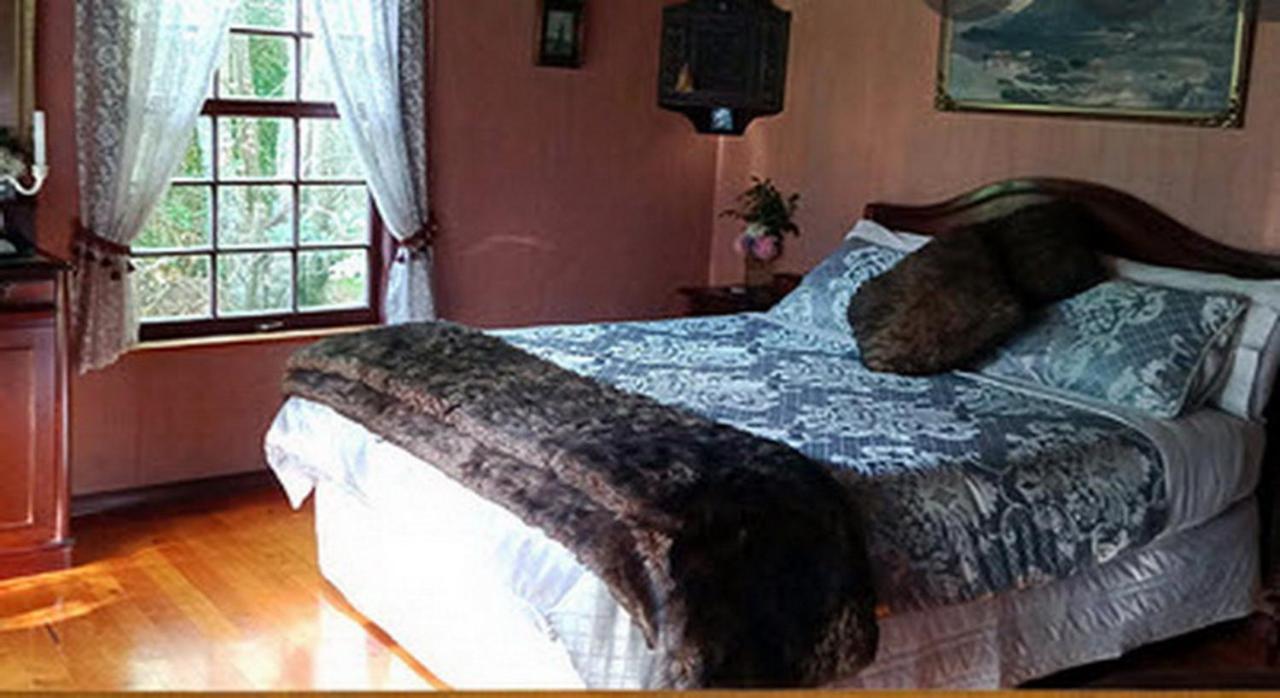 Warm Earth Cottages Aongatete 외부 사진